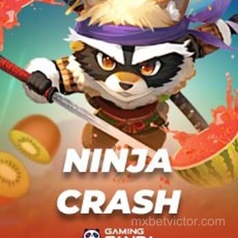Imagen del juego Ninja Crash